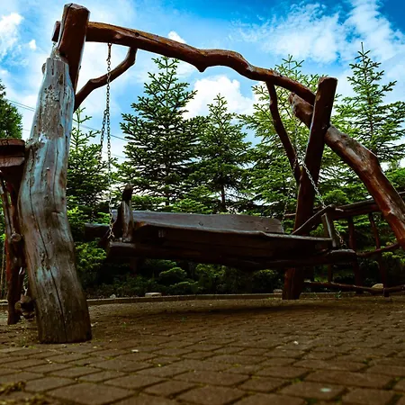 Homestay Morelowa Przystan Gdansk