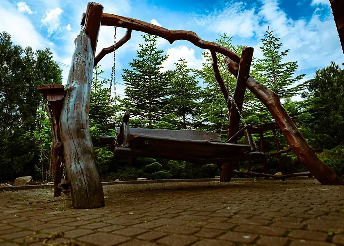 民宿 Morelowa Przystan 格但斯克